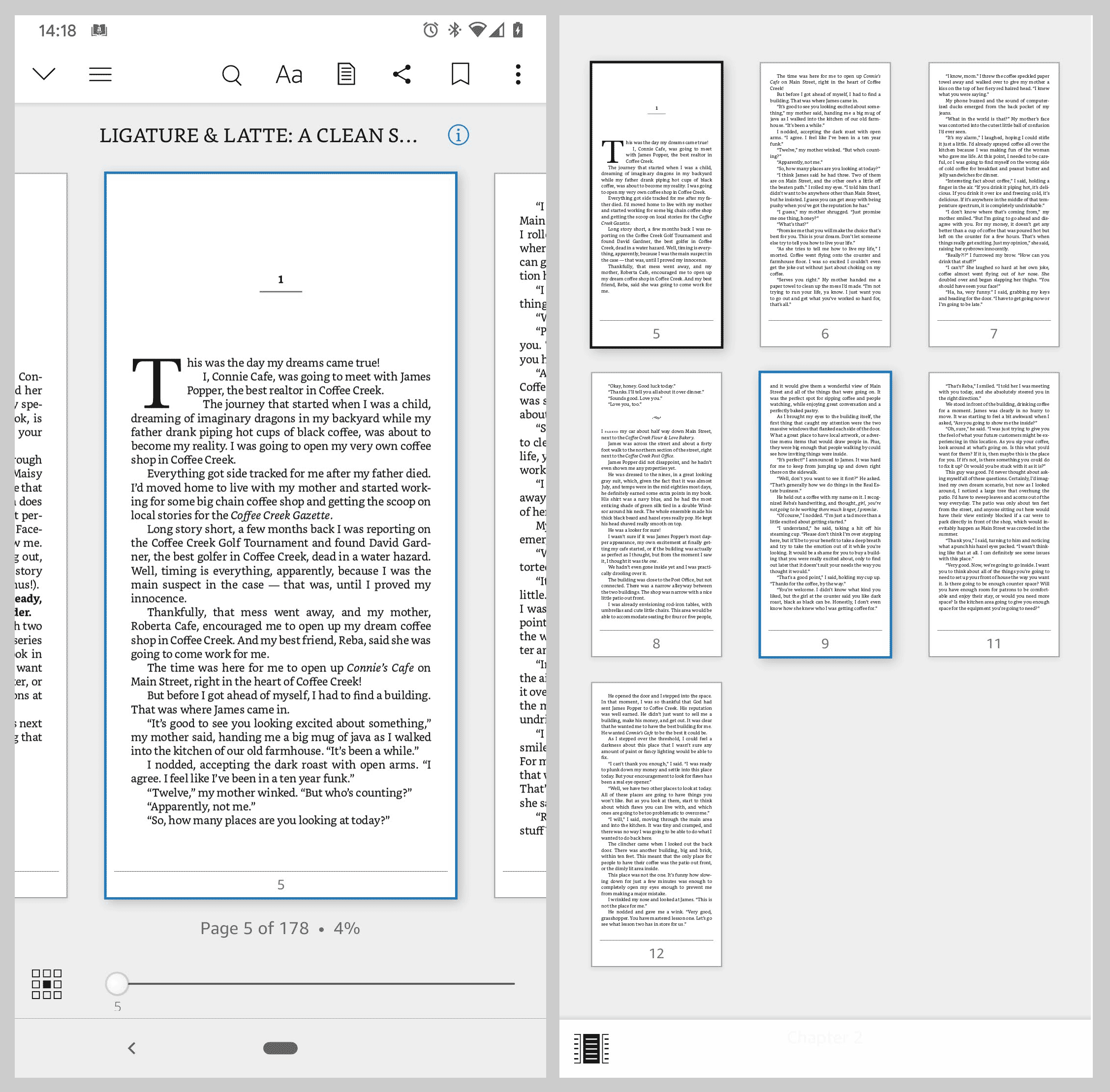 Miniaturansicht der Seiten mit Kindle Page Flip